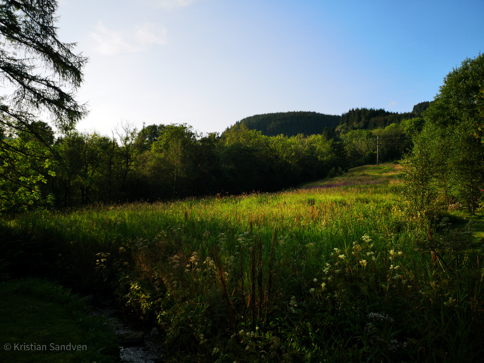 Juli 2019: Sommer på gården.